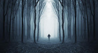 Deep Dark Forest Wall Decal