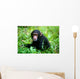 Chimpanzee Wall Mural