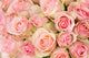 Bouquet Pink Roses