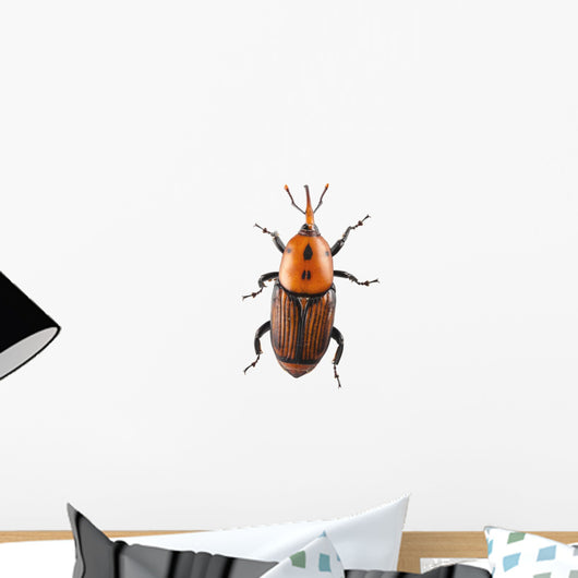 Red Palm Weevil White Wall Decal