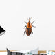 Red Palm Weevil White Wall Decal