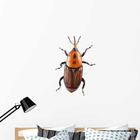 Red Palm Weevil White Wall Decal