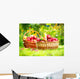 Organic Apples in the Basket. Orchard. Garden Wall Mural