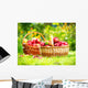 Organic Apples in the Basket. Orchard. Garden Wall Mural