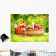 Organic Apples in the Basket. Orchard. Garden Wall Mural