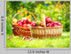 Organic Apples in the Basket. Orchard. Garden Wall Mural