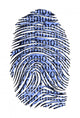 Binary Code ID Wall Decal