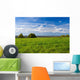 Beautiful summer landscape. The nature. Wall Mural