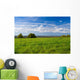 Beautiful summer landscape. The nature. Wall Mural