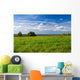 Beautiful summer landscape. The nature. Wall Mural