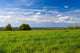 Beautiful summer landscape. The nature. Wall Mural
