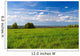 Beautiful summer landscape. The nature. Wall Mural
