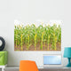 Corn Wall Mural