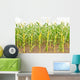 Corn Wall Mural