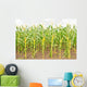Corn Wall Mural