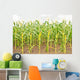 Corn Wall Mural
