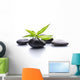 Zen Pebbles Stone Spa
