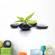 Zen Pebbles Stone Spa