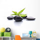 Zen Pebbles Stone Spa
