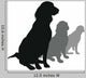 Dogs Line