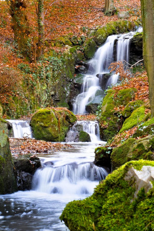 Torrent