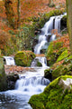 Torrent