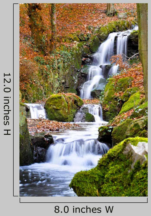 Torrent