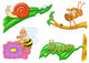 Insect