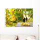Vines and white wine Wall Mural