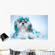 Shih Tzu Dog
