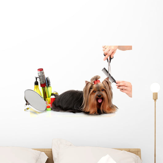 Grooming Yorkshire Terrier White Wall Decal
