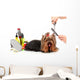 Grooming Yorkshire Terrier White Wall Decal