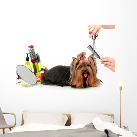 Grooming Yorkshire Terrier White Wall Decal