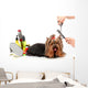 Grooming Yorkshire Terrier White Wall Decal