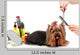 Grooming Yorkshire Terrier White Wall Decal