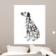 Dalmatian Dog