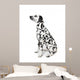 Dalmatian Dog