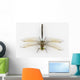 Dragonfly Anax Parthenope White Wall Decal