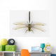 Dragonfly Anax Parthenope White Wall Decal