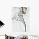 Smoke Trail Wall Mural