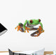 Red-Eyed Treefrog Wall Decal
