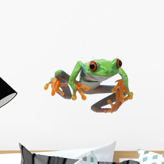 Red-Eyed Treefrog Wall Decal