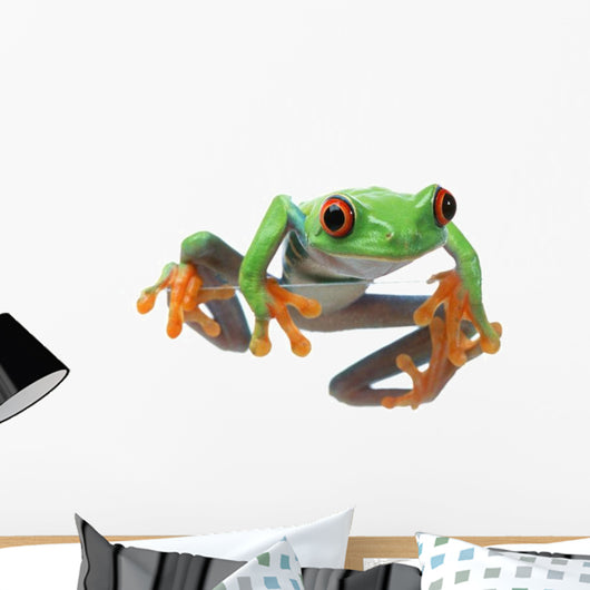 Red-Eyed Treefrog Wall Decal