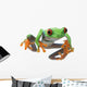 Red-Eyed Treefrog Wall Decal