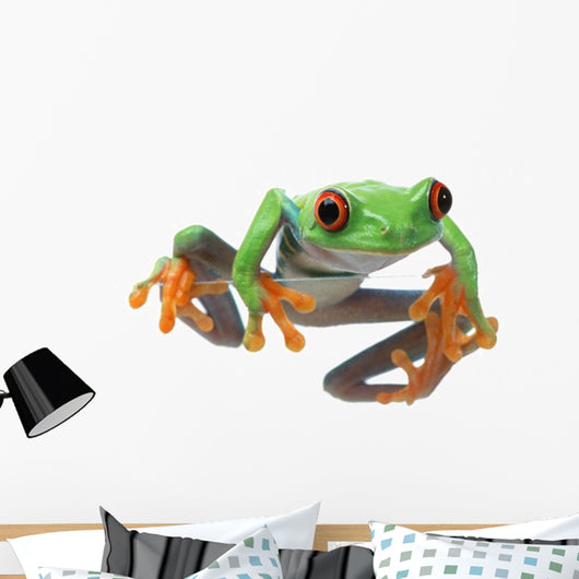 Red-Eyed Treefrog Wall Decal