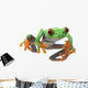 Red-Eyed Treefrog Wall Decal