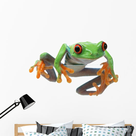 Red-Eyed Treefrog Wall Decal