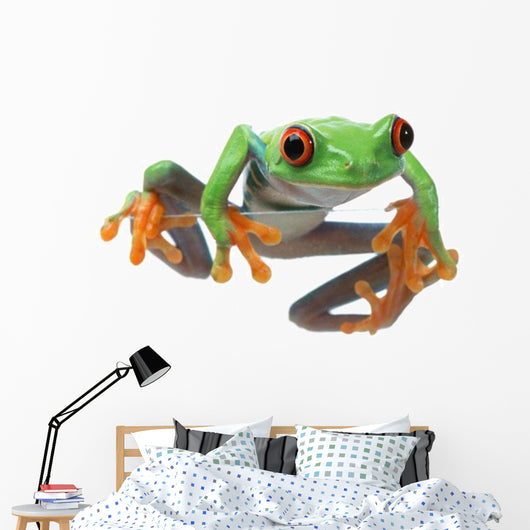 Red-Eyed Treefrog Wall Decal