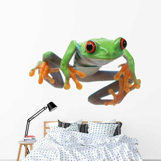 Red-Eyed Treefrog Wall Decal