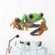Red-Eyed Treefrog Wall Decal
